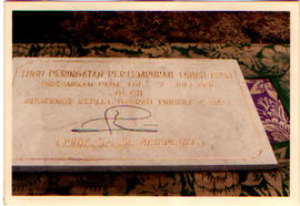image 01